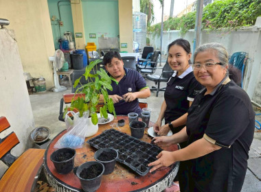 “ปลูกพืชผักสวนครัว” ภายใต้โครงการส่งเสริมองค์กรคุณธรรม ... พารามิเตอร์รูปภาพ 5